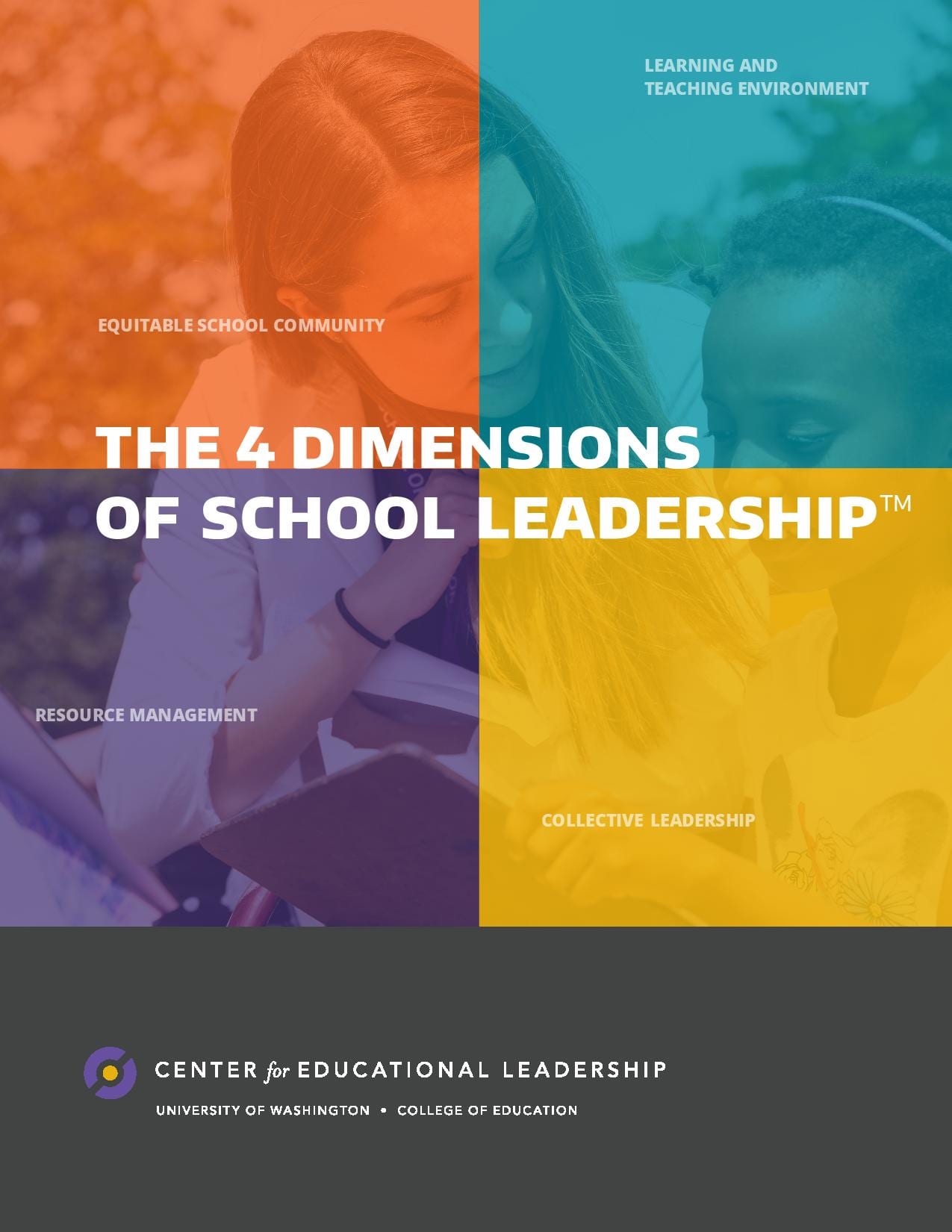 leadership in education thesis